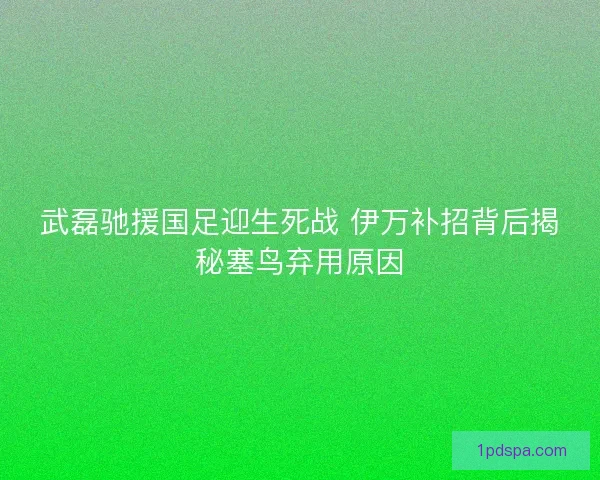武磊驰援国足迎生死战 伊万补招背后揭秘塞鸟弃用原因